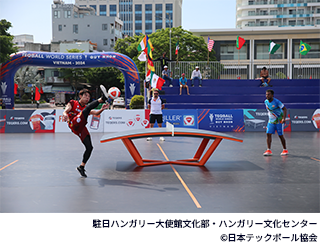 港区国際文化紹介展示「世界のスポーツ」