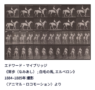 動画の原点『アニマル・ロコモーション』「連続写真に取り憑かれた男 エドワード・マイブリッジ」 width=