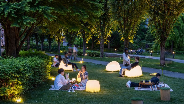 やさしい光が灯るナイトピクニック