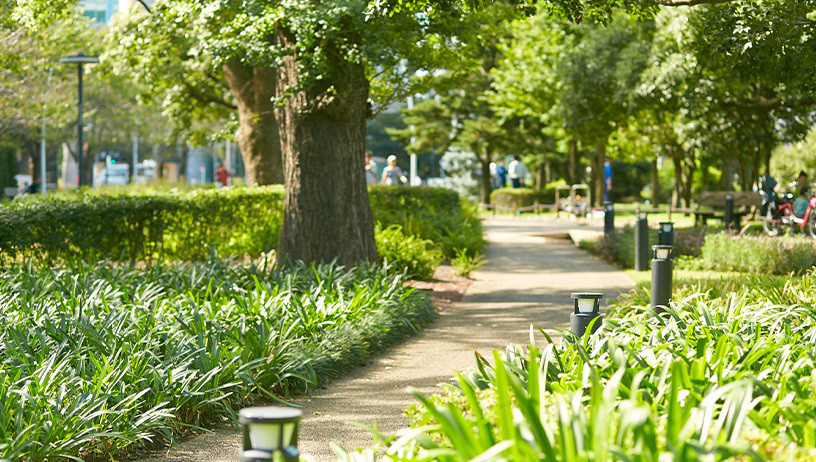 東京ミッドタウンの木々の育成