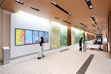TOKYO MIDTOWN AWARD 2025 Pre EXHIBITION