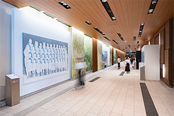 昨年の展示の様子