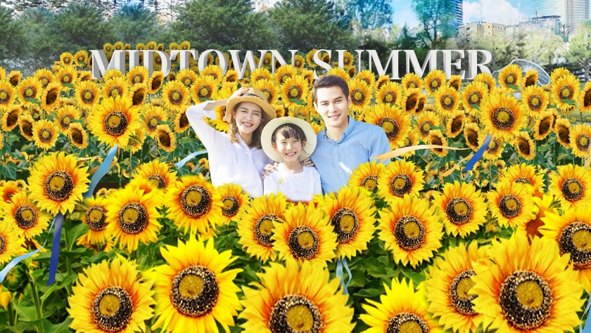 Sunflowers adorned with ribbons
