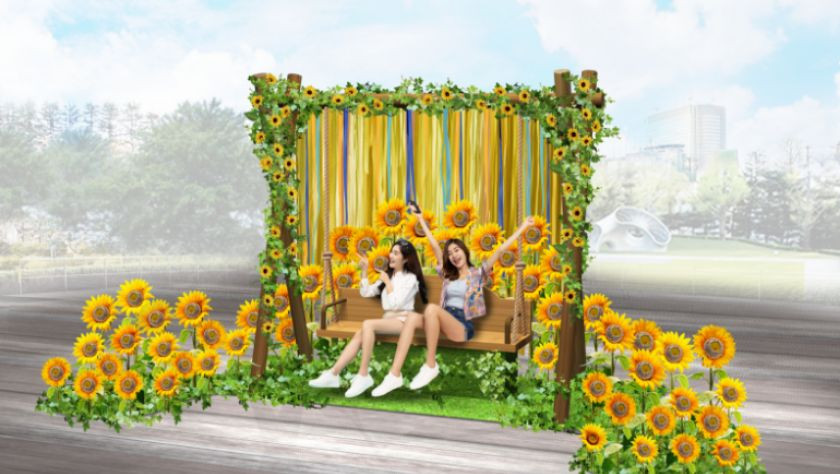 A new photo spot adorned with sunflowers!