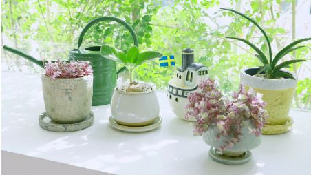 IDEE SHOP / IDEE CAFE parc