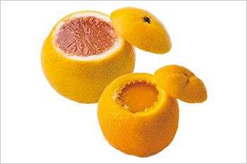 フレッシュゼリー（グレープフルーツ、オレンジ）