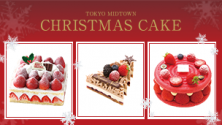 CHRISTMAS CAKE