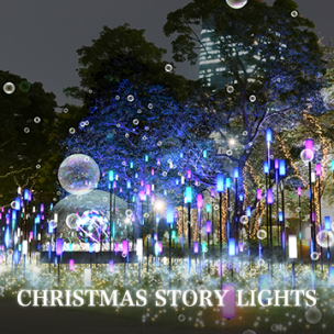 CHRISTMAS STORY LIGHTS