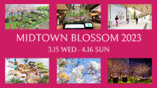 MIDTOWN BLOSSOM 2023