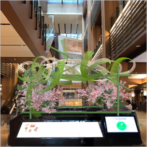 Spring Flower Display