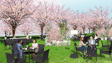 ROKU〈六〉 <br>MIDTOWN BLOSSOM LOUNGE