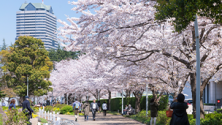 春の散歩道