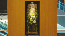 Flower Art Award 2025