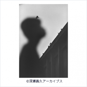 フジフイルム スクエア 写真歴史博物館 企画写真展 <br>深瀬昌久写真展「洋子／遊戯」