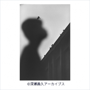 フジフイルム スクエア 写真歴史博物館 企画写真展 <br>深瀬昌久写真展「洋子／遊戯」