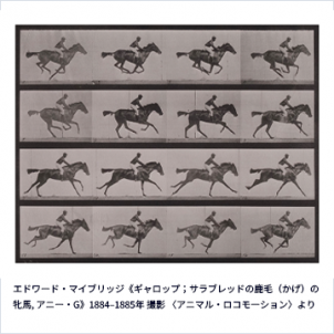 フジフイルム スクエア 写真歴史博物館 企画写真展 <br>動画の原点『アニマル・ロコモーション』<br> 「連続写真に取り憑かれた男 エドワード・マイブリッジ」