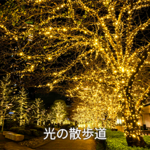 光の散歩道