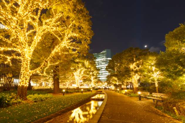 Promenade of Lights