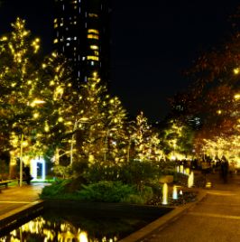 光の散歩道