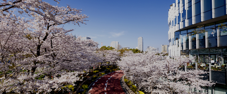 イメージ：Tokyo Midtown Quality