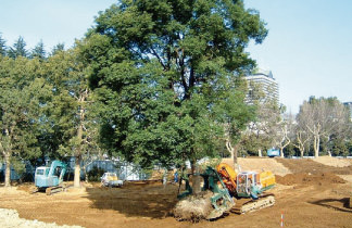 既存樹木の保存・再生