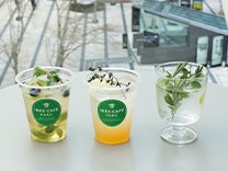 IDÉE SHOP / IDÉE CAFÉ PARC