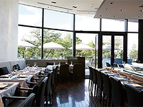 HAL YAMASHITA 東京