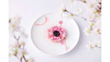 桜メニュー