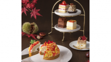 KINEEL 月一限定イベントケーキ販売開始！11月は紅葉をモチーフにしたケーキが登場！