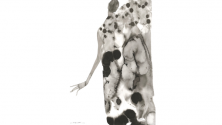 SUMIGA 美学 by tamaki ogata