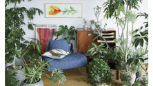 GREEN LIFE