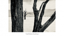 越谷 喜隆　写真展　Dialogue I 対話の景色