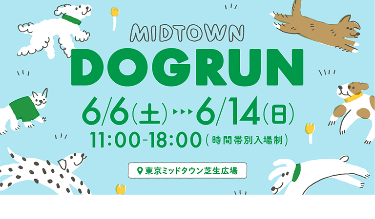 MIDTOWN DOGRUN