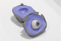 My Gaze, My Choice.（グランプリ）