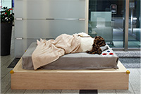 nemui（優秀賞）