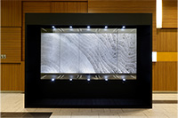 growth ring（ファイナリスト）