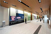 展示風景